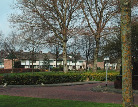 Dronten